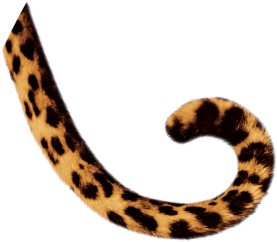 Leaf image